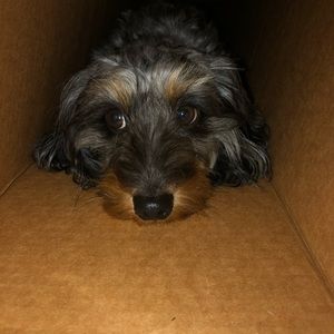 Meet your Posher, Angela